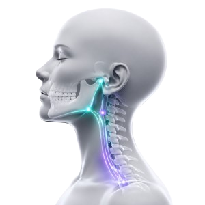 Ilustración médica del Método REMP: conexión entre la articulación mandibular y la postura cervical en SutilCenter Villa Carlos Paz.